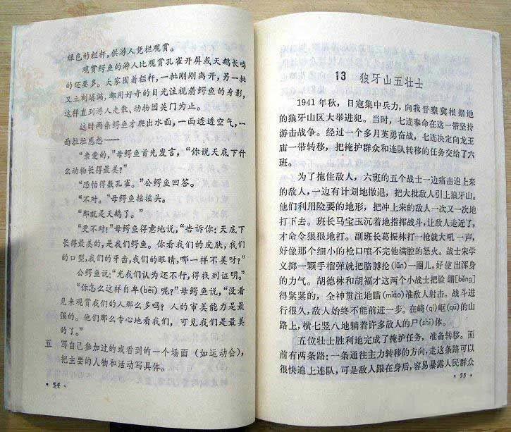 以前有篇语文课文关于足球的(20年前的语文课本，满满的回忆！翻开都是泪)