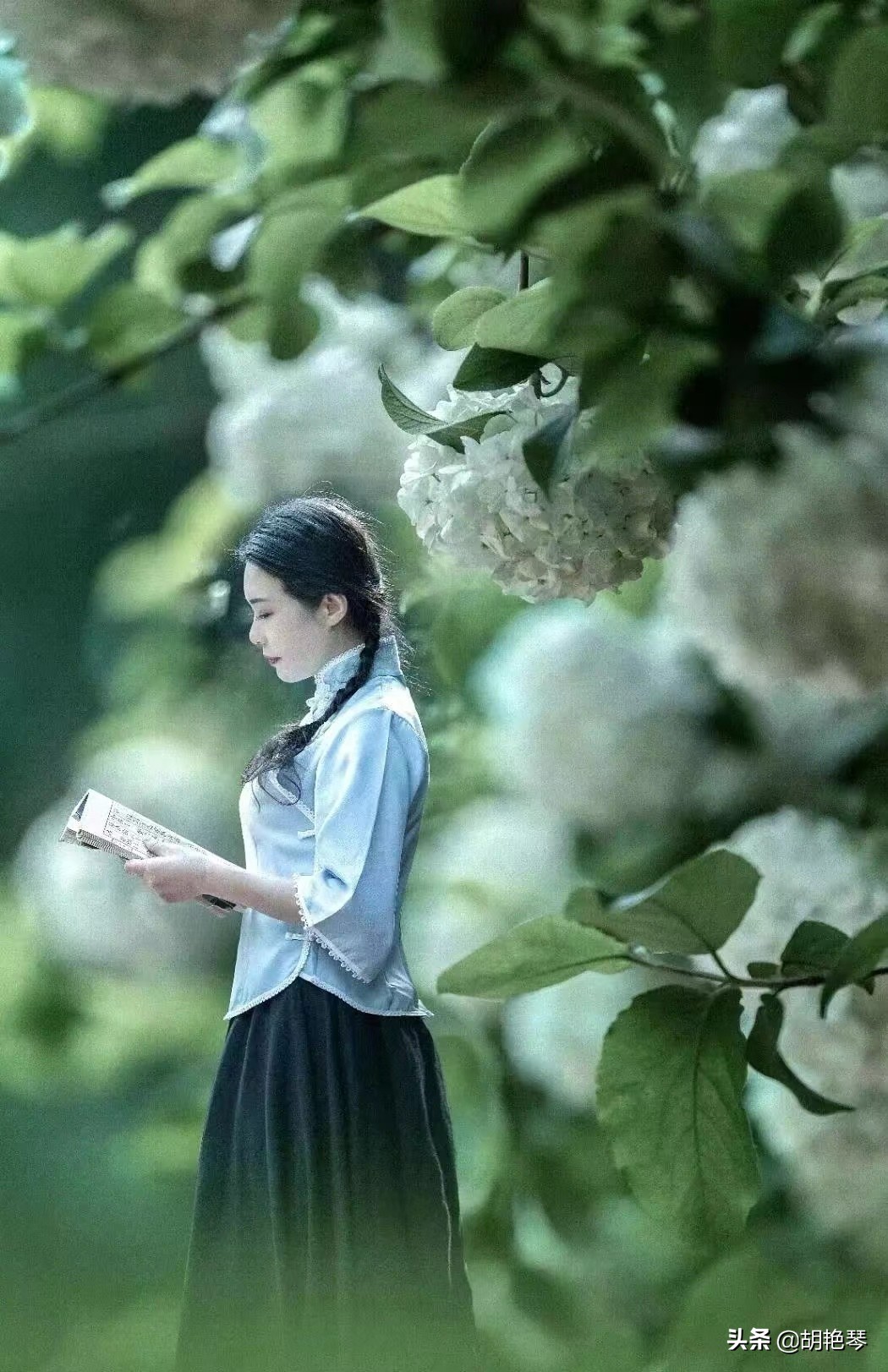 五四青年节 | 最美青春诗词，同学少年，风华正茂，最适合今天诵读