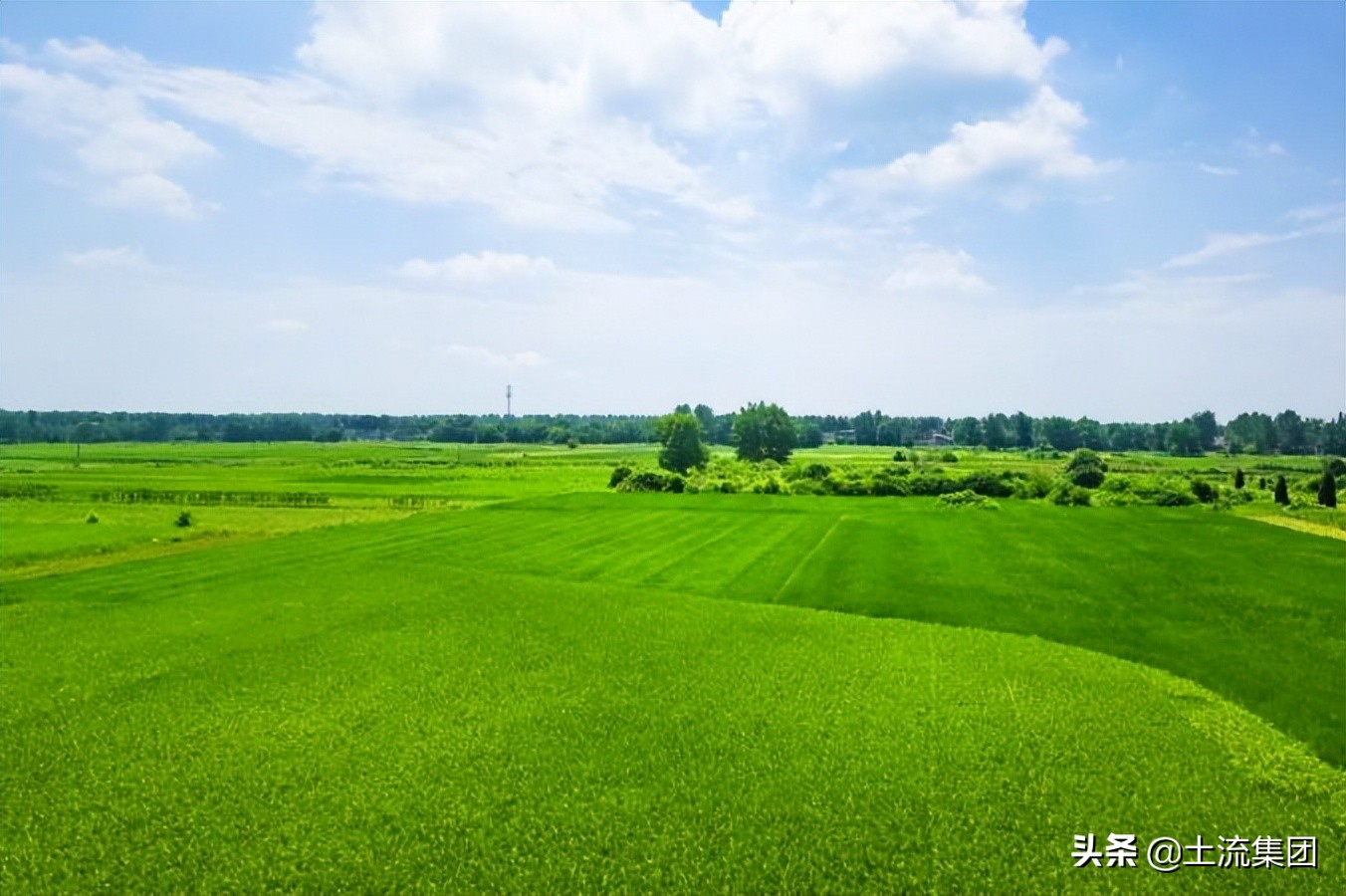 2022種糧大戶100畝以上補(bǔ)貼政策：每畝具體補(bǔ)貼多少錢？