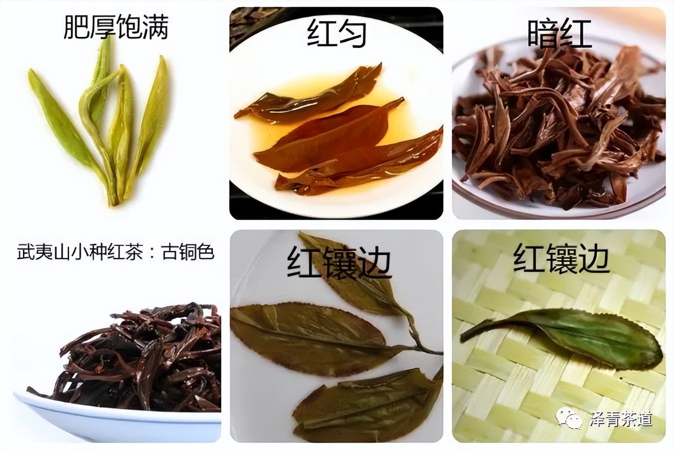 评价茶叶的专业术语(教你喝茶的100个专业术语)