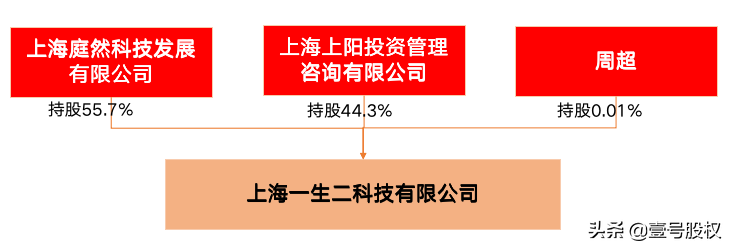 公司股权结构,公司股权结构怎么写