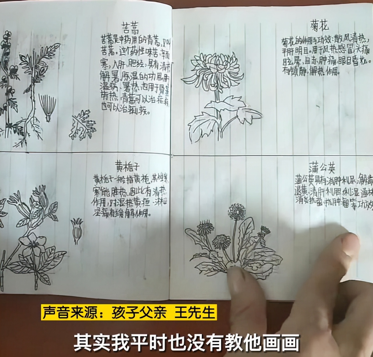 四川13岁初一学生手绘本草纲目走红，网友喊话家长：务必用心呵护