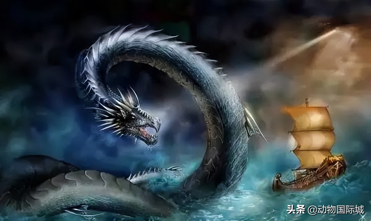 蛇进化为龙的七(qi)个阶段（中国最吓人的一(yi)条巨蛇）-大连信(xin)息网