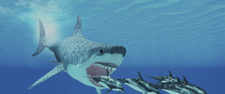 海洋中最凶猛的鲨鱼，如今已经濒临灭绝