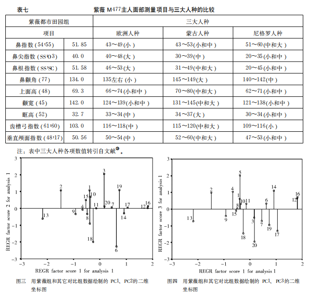 西安紫薇田园都市唐墓人骨种系初探