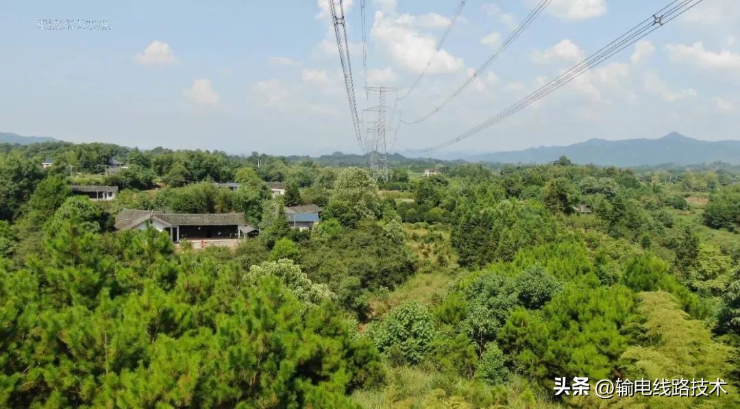 架空输电线路防鸟害的改进设计-“迎鸟架”