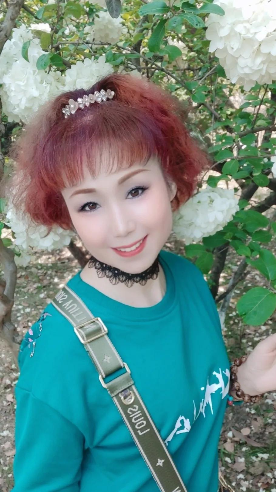 苏州美丽的盘门景区