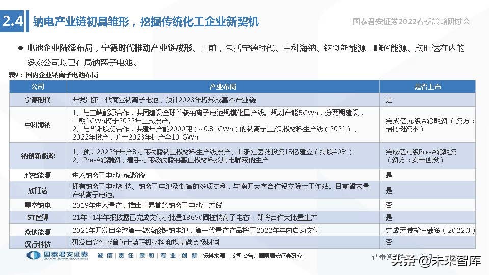 储能技术路线选择专题报告：锂电、钠电、氢能、钒电谁将胜出？