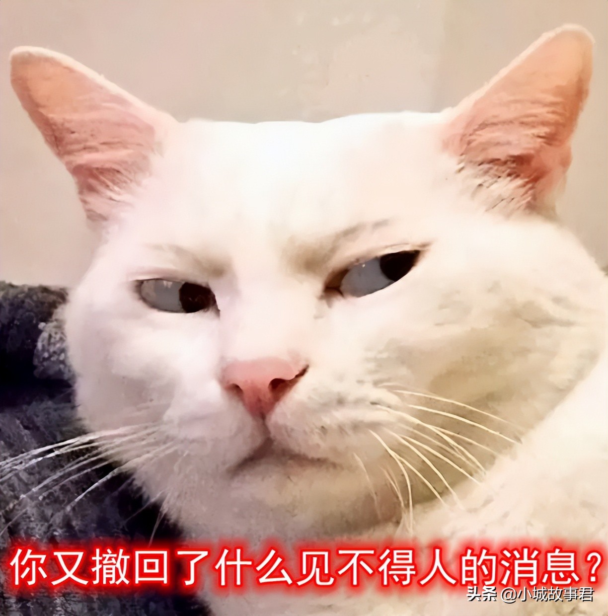 微信新功能遭吐槽，以后怎么假装没看到？网友热议哪些功能该增减