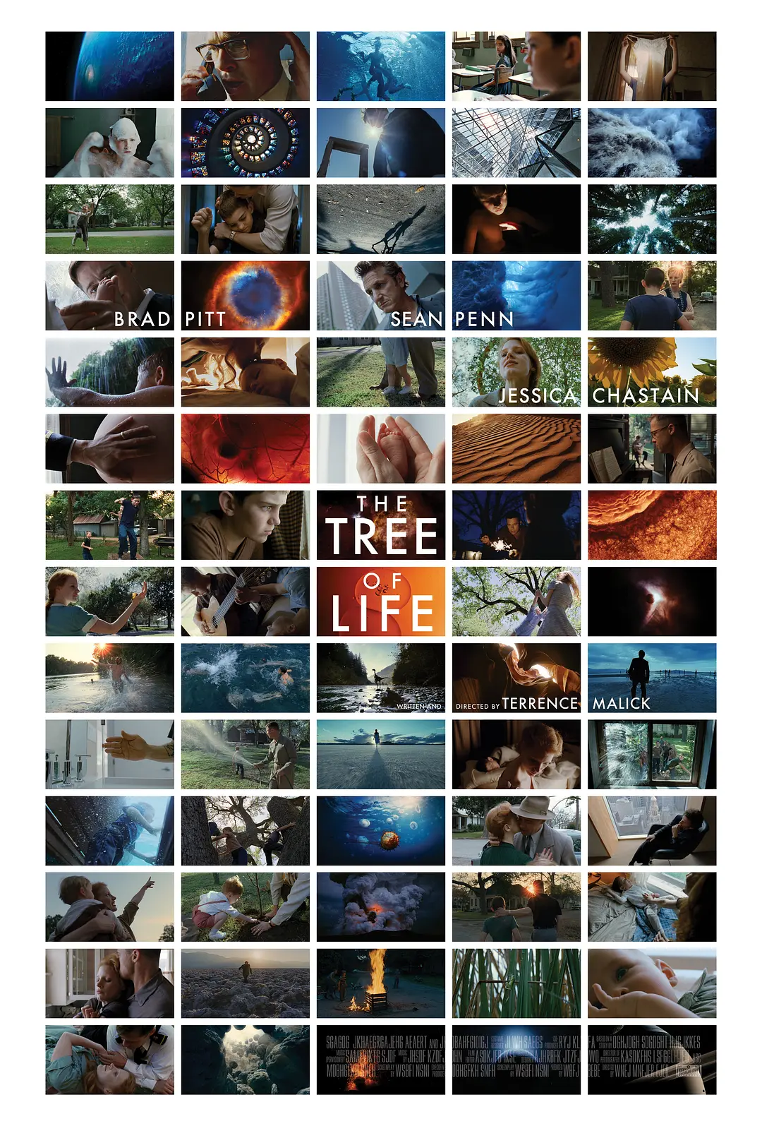 《生命之树》：生命再短暂也是汇入河流的一滴水