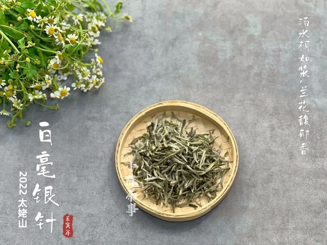 白茶和绿茶有什么区别（一文了解2款茶叶的区别）