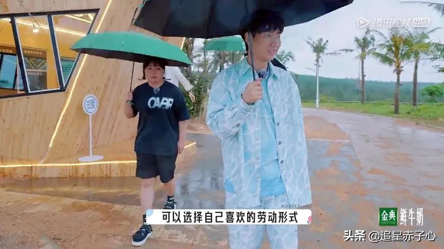 《桃花坞》：把制造尴尬当做是一种传统，这跟自虐自残有什么区别