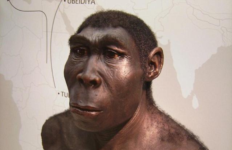 最早的人类是哪国人(中国历史上最早的人类是什么人) - 武陵观察网