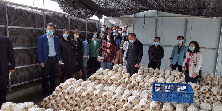 �������� ������ҵ����δ�����г���ܾ��ƶ�ũҵ��׼��������