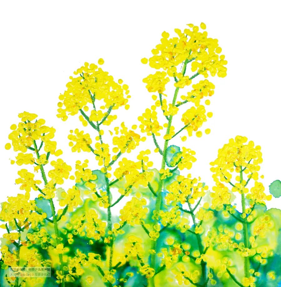 儿童画教程|春季自然美学课程《正是油菜花开时》