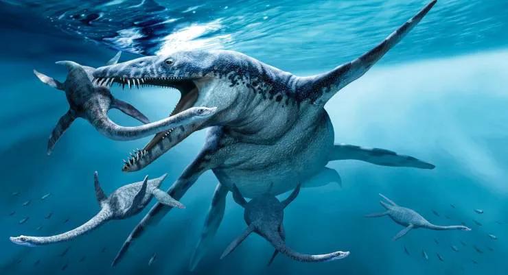 龙大气,体型却比霸王龙大得多,它是最大的陆地掠食动物,光背鳍就高达