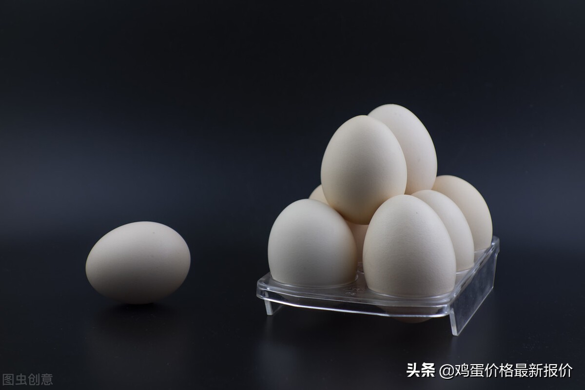 今日北京早报鸡蛋价格（今日鸡蛋价格早报）
