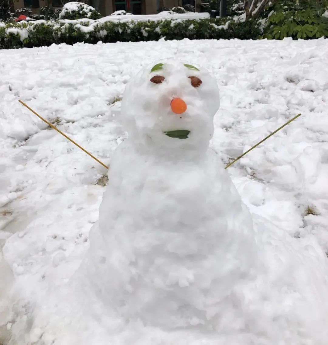 一场大雪一场欢，打雪仗、堆雪人，像小孩子一样激动兴奋