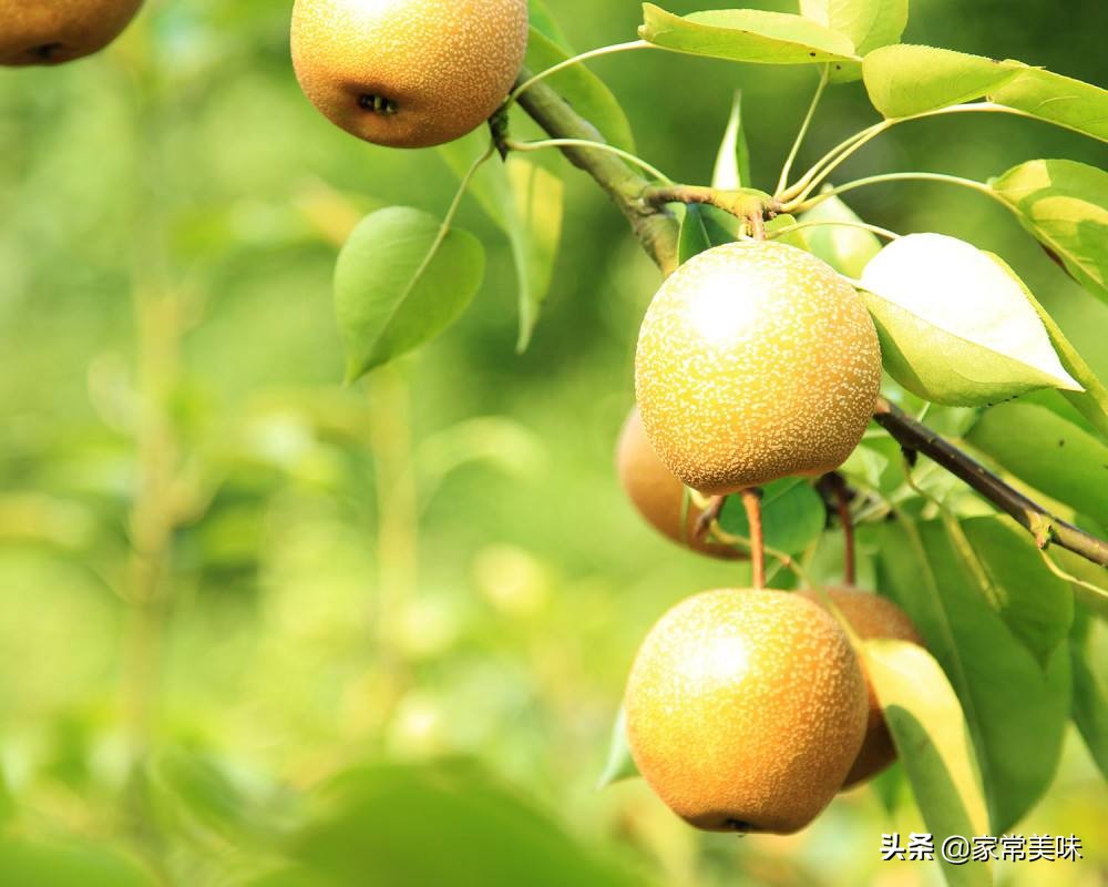 春季干燥，多吃这6种时令水果，水分充足营养高，健健康康过春天