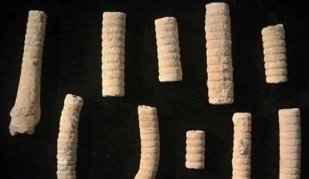 3����ǰ��һ�š���˿������Ƕ��ʯ���У��ҿ�һ��ʷǰ���۷�ʱ��