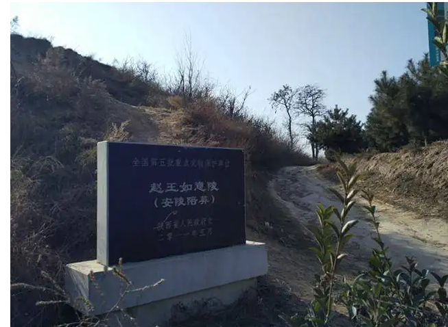 西安出土李建成墓，墓志仅55字，却揭开李世民对待兄弟的真实心态