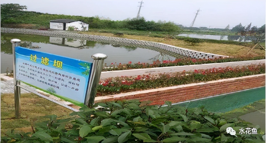 水产养殖尾水处理——多级人工湿地净水技术