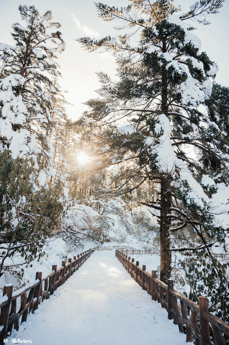 成都周边游 | 川西的雪国秘境，我与瓦屋山的纯白约定