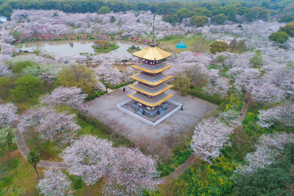 最新15所双一流大学被黄牌警告，2022年录取分数会“暴跌”吗？