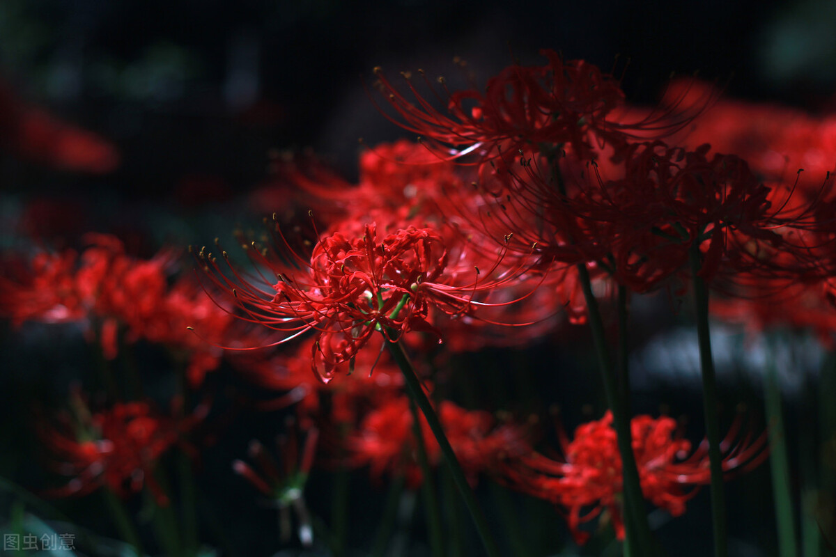 相隔很远，相思很深，亲爱的某人，五一快乐