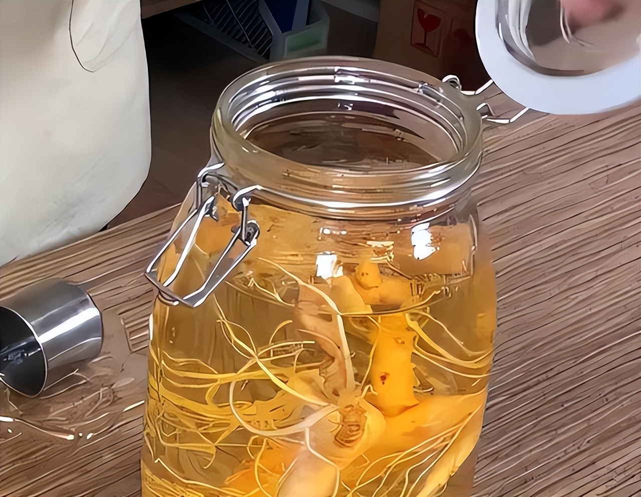 世界上最老的人参(世界上最老的人参图片) - 武陵观察网