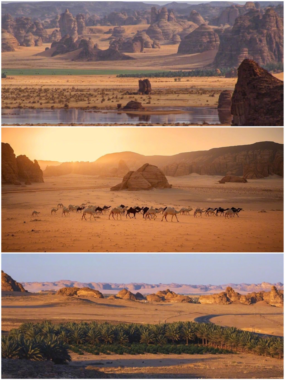 这处沙漠中的海市蜃楼，不是亲眼目睹，一定不敢相信