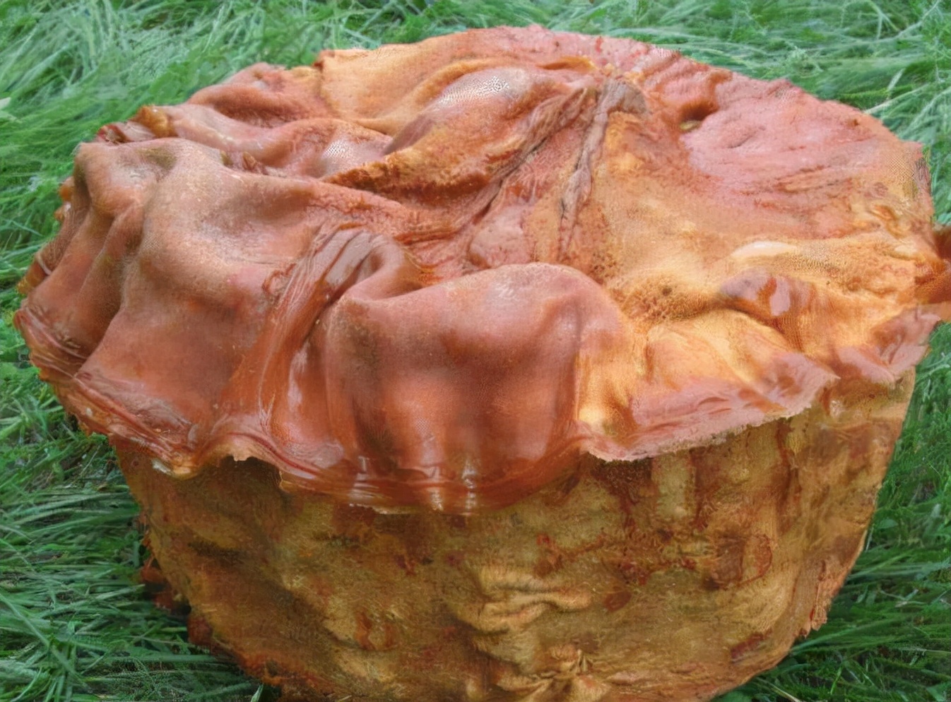 60亿天价奇石图片(新疆大爷捡到) - 赤虎壹号