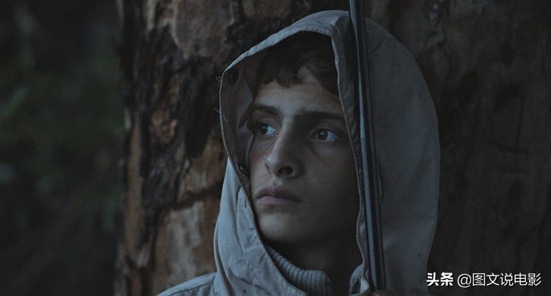 即便流离失所，仍要种植树与花：《战地夜曲》