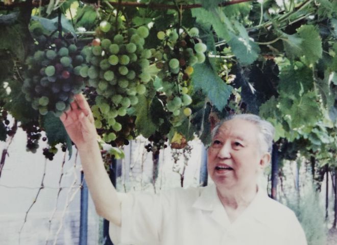 北京奥运会申奥是多久（2001年北京申奥成功，华国锋得知后激动万分：国家给我定了个目标）