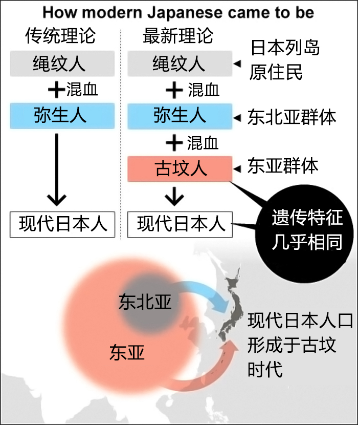 日本人自己的研究表明，他们一千多年前的祖先，很可能是中国人