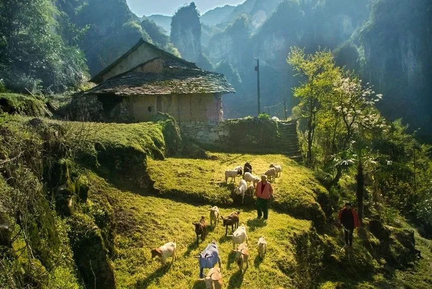 快乐不打烊！宜昌这些地方景美人少还免费！