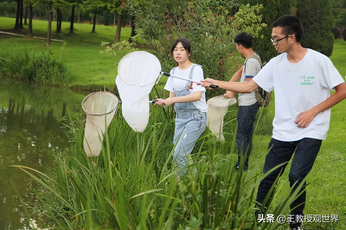 浙江农林大学是一本还是二本（浙江农林大学是一本还是二本分数线）-第4张图片-昕阳网