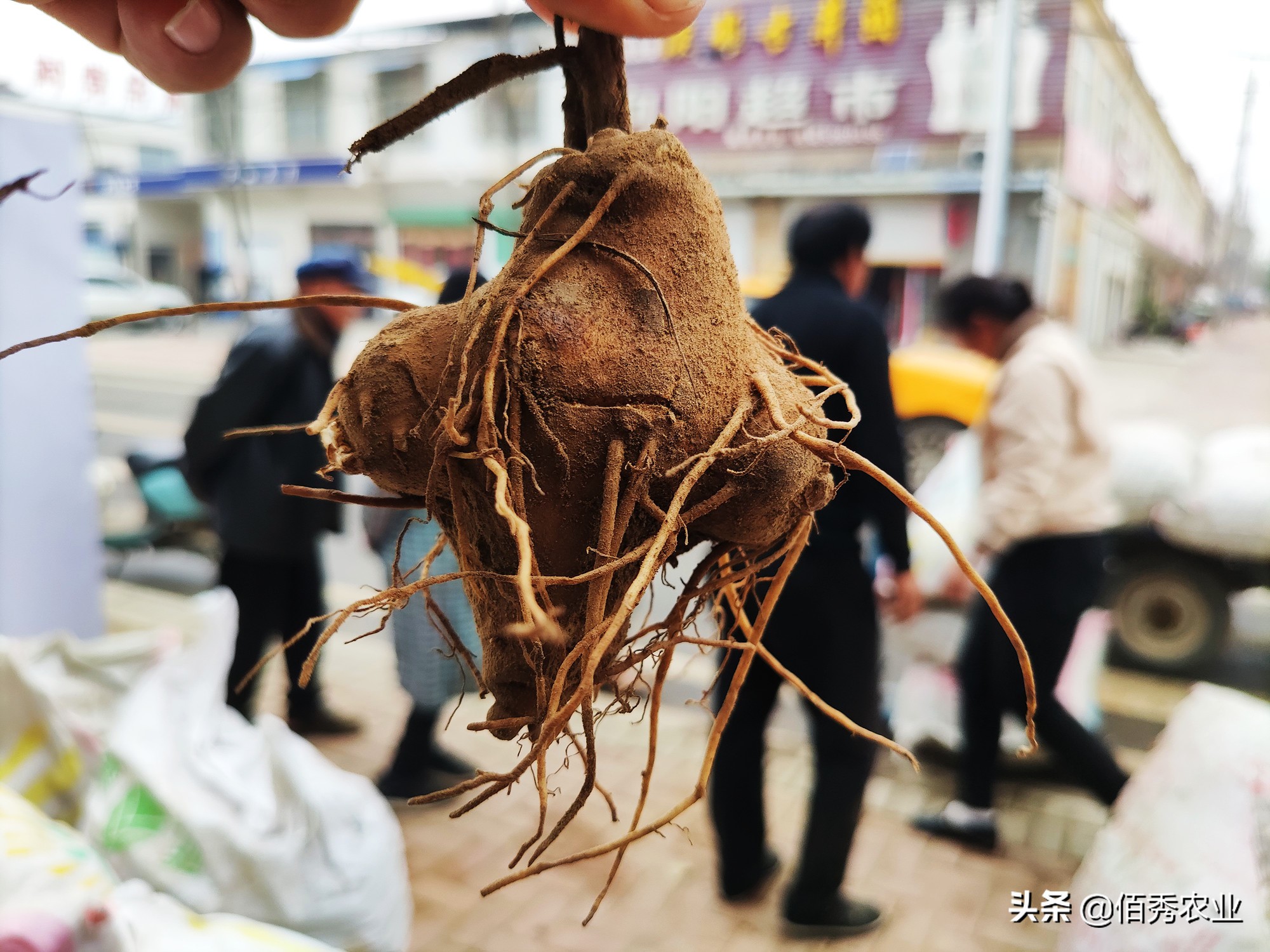 种什么能年收入5万元(年收入五万) - 趣味头条