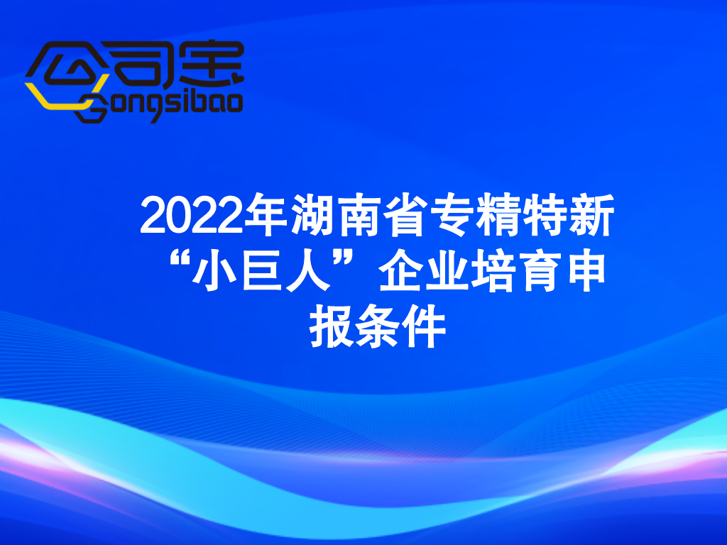 2022年湖南省专精特新“小巨人”企业培育申报条件