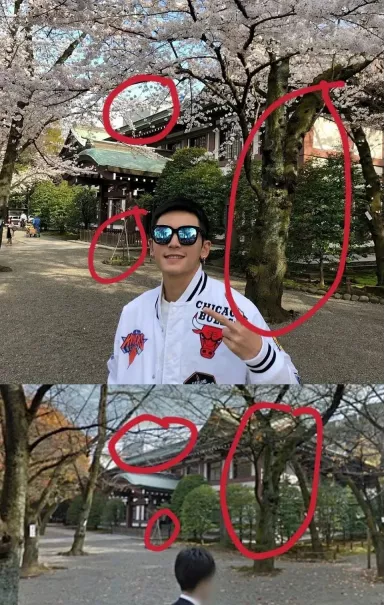 2021明星网红大瓜TOP10:从郑爽“代孕弃养”到王力宏被前妻锤爆