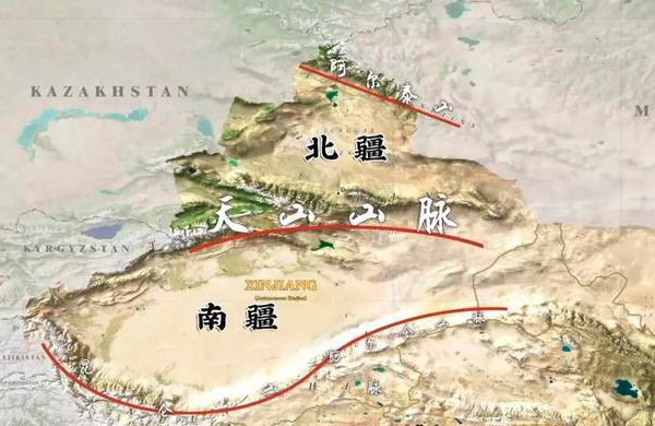 分享南疆地区经济实用的大棚沙培番茄种植技术