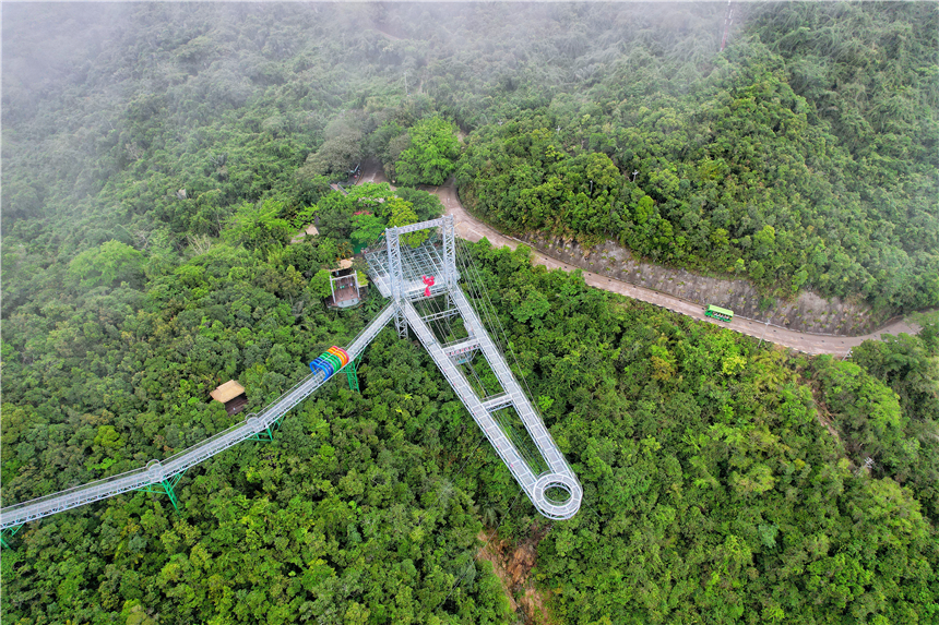 自驾海南，探寻雨林秘境，黎族村落到茶园深处，4天3晚游玩全攻略