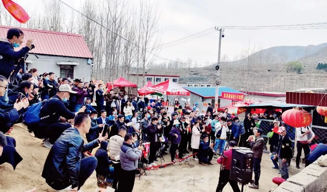 2021，网红“查无此人”