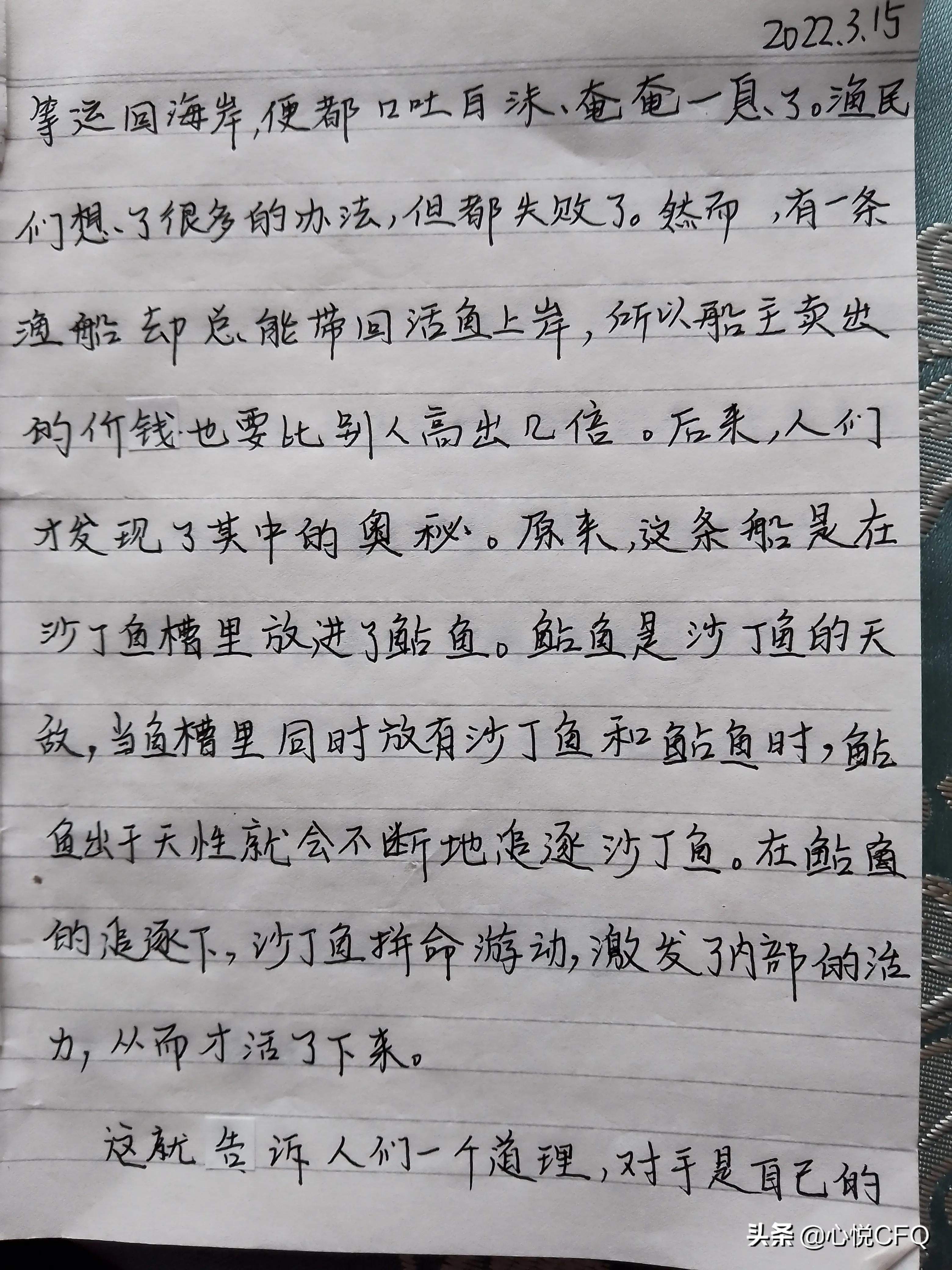 跳水的故事告诉我们什么道理(提高孩子抗挫能力的故事(25)——感谢对手)