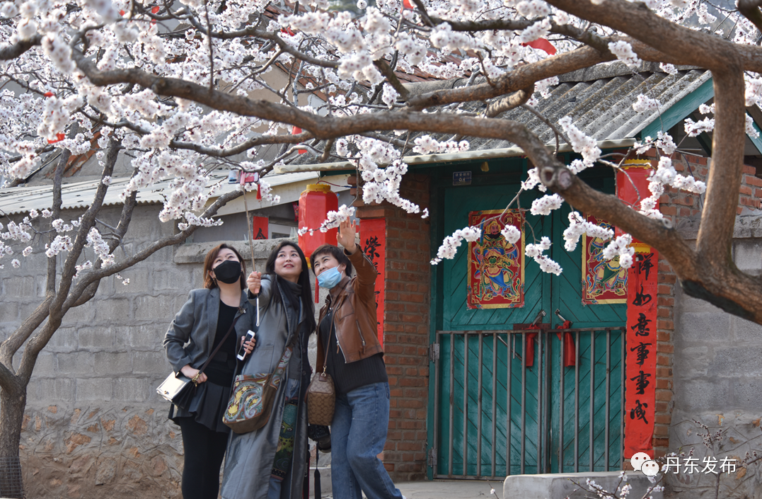 丹东这一地儿入选全国十大赏樱地！赏花攻略提前收藏