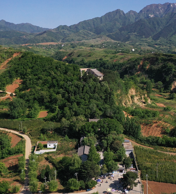 蓝田猿人遗址 1963年发现的蓝田猿人-春风号