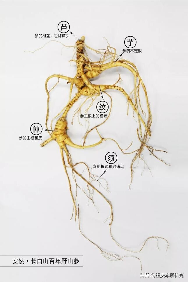 安然公司榮耀斬獲2021新經(jīng)濟(jì)風(fēng)云榜健康中國(guó)踐行企業(yè)