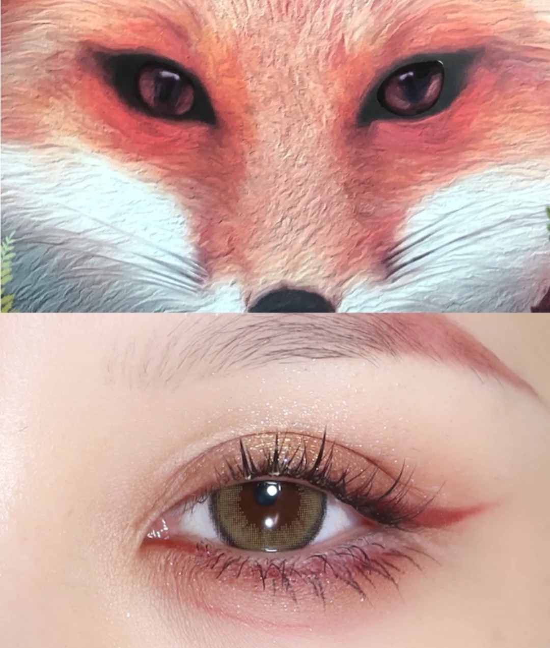 常见的六种眼型常见的几种眼型