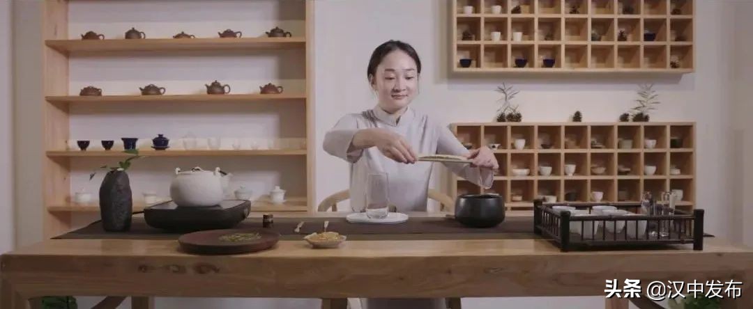 倒計(jì)時(shí)2天！2022西鄉(xiāng)茶葉櫻桃采摘體驗(yàn)文化旅游活動(dòng)即將啟幕