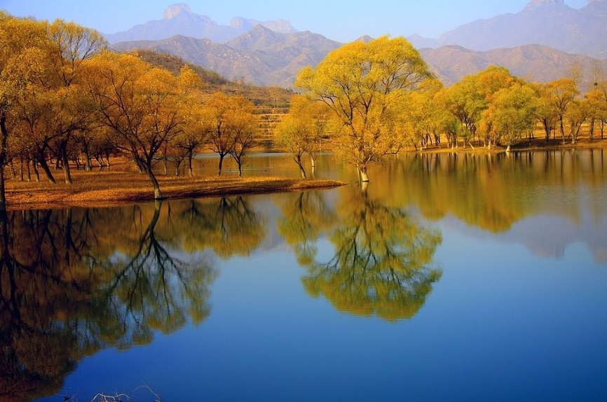 侯庆红 | 赏花庭院意难休 几时消尽万千愁（原创诗词十三首）